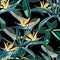 Beautiful vector floral seamless pattern background with agave and strelitzia.