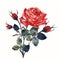 Beautiful vector realistic rose in vintage antique high detailed style