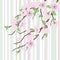 Beautiful vector sakura branch