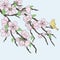 Beautiful vector sakura branch