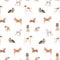 Beautiful vector seamless pattern with cute watercolor hand drawn dog breeds Cocker spaniel Greyhound Basset hound