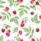 Beautiful vector seamless pattern with watercolor raspberry and leaves. Stock illustration.