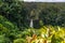 Beautiful vegetation around Akaka Waterfall, part of Akaka Falls State Park, near Hilo, the capital of the Big Island of Hawaii, U