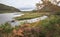 Beautiful vegetation near Upper Lake.