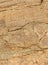 Beautiful vertical frame of cracked rock texture natural background.