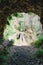 Beautiful vertical shot of a natural tunnel inside a forest in Oregon - exploring the world