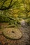 Beautiful vibrant Autumn Fall forest landscape image of millstone in woodland in Peak District