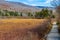 A beautiful vibrant autumn landscape with dense vegetation in Cranberry Glades Boardwalk