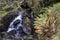 Beautiful vibrant Autun Fall landscape of waterfall in woodlands with rocks and ferns in Lake District