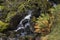 Beautiful vibrant Autun Fall landscape of waterfall in woodlands with rocks and ferns in Lake District