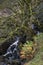 Beautiful vibrant Autun Fall landscape of waterfall in woodlands with rocks and ferns in Lake District