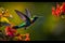 beautiful vibrant colored humming birds flying and aiming on a flower nectar,Generative AI