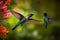 beautiful vibrant colored humming birds flying and aiming on a flower nectar,Generative AI