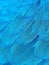 Beautiful vibrant deep blue abstract feathers soft texture on feather pattern