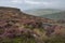 Beautiful vibrant English Peak District landscape of colorful heather during late Summer sunrise on Higger Tor