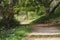 Beautiful vibrant landscape image of footpath through English woodlands in Spring