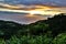 Beautiful vibrant maui sunrise road to Hana Tropical rain forest Ocean view
