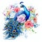 beautiful vibrant peacock and peonies clipart illustration