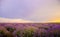 Beautiful vibrant sunset over a lavender field with wind turbine