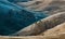 Beautiful view of aligned trees on slide rocky hills