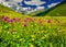 Beautiful view of alpine meadows in the Caucasus mountains.