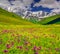 Beautiful view of alpine meadows in the Caucasus mountains.