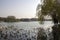 Beautiful view of Bacheng Ecological Wetland Park during autumn session