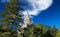 Beautiful view beyond green conifer trees on isolated dome of Sacre Coeur church, clear blue spectacular autumn sky, fluffy cloud