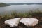 Beautiful view on big lake from cliff. Two stones, wildflowers on hill and river landscape. Bakota lake and Dnister river in