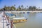 Beautiful view of boats on a pier with palm in the Chapala lake