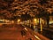 A beautiful view of Bratislava night in the autumn, when the leaves fall from the trees in the square near the old theater