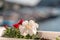 A beautiful view through the bright flowers of petunias to the sea bay with yachts. Turquoise sea against the backdrop