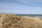 Beautiful view of bushes and dunes on the beach near Furreby, North Jutland, Denmark