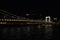 Beautiful view of Citadella Bridge in Budapest, Hungary during nighttime