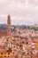 Beautiful view of city skyline, towers, basilicas, red-tiled roofs of houses and mountains, Florence, Italy