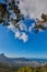 Beautiful view of a cityscape, nature and Table Mountain in Cape Town, South Africa against a cloudy blue sky with copy