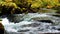 Beautiful view of clear stream rapid river flowing pass through the colorful foliage forest in autumn season