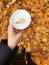 Beautiful view colored autumn leaves and coffee