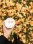 Beautiful view colored autumn leaves and coffee