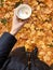 Beautiful view colored autumn leaves and coffee