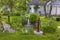 Beautiful view of colorful private garden with fountain and artificial pond.