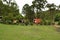 Beautiful view of the country side of Brazil. Pine trees and the vegetation in a farm hotel.