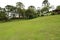 Beautiful view of the country side of Brazil. Pine trees and the vegetation in a farm hotel.