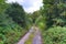 Beautiful view on countryside roads with fields and trees in northern europe