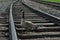 Beautiful view of a cute Canadian Goose on a railroad