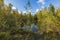 Beautiful view of dark blue lake water with water lilies, and green sedge  with little bird house  on sunny autumn day.