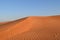 Beautiful View of the Desert - Greenery