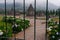 Beautiful view of the Dieng temple compound behind the gate in Indonesia