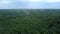 Beautiful view from the drone. Clip. A green forest with tall fir trees and large trees with a field and a blue misty