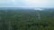 Beautiful view from the drone. Clip. A green forest with tall fir trees and large trees with a field and a blue misty